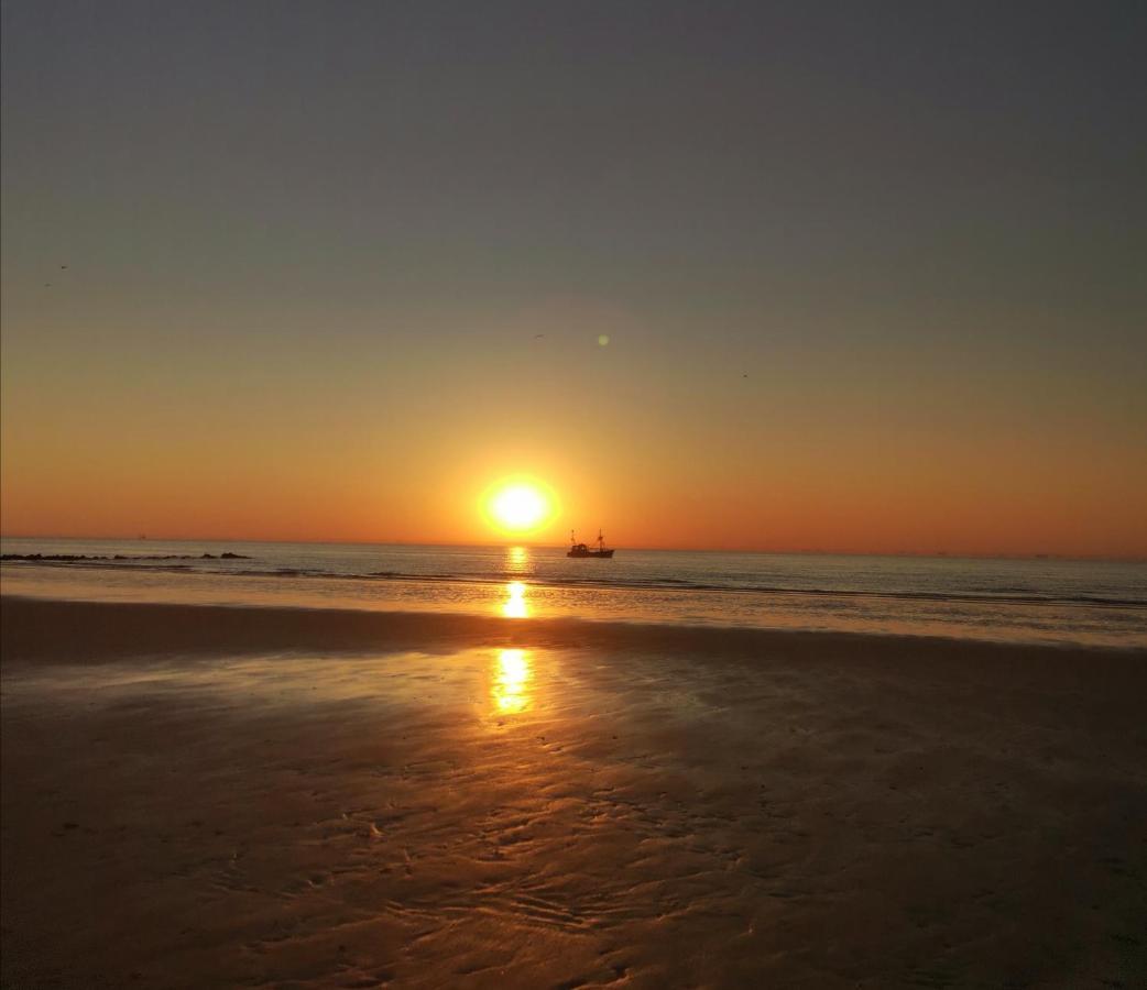 Renovated studio direct Seaview Ostenda Esterno foto